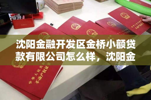 沈阳金融开发区金桥小额贷款有限公司怎么样，沈阳金融开发区金桥小额贷款有限公司怎么样