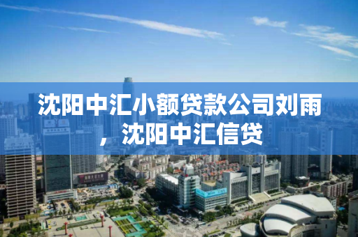 沈阳中汇小额贷款公司刘雨，沈阳中汇信贷