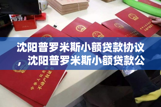 沈阳普罗米斯小额贷款协议，沈阳普罗米斯小额贷款公司