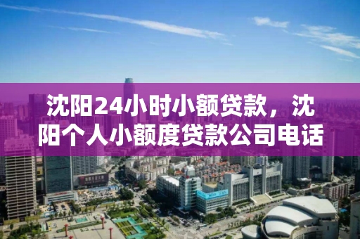 沈阳24小时小额贷款，沈阳个人小额度贷款公司电话