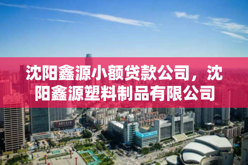 沈阳鑫源小额贷款公司，沈阳鑫源塑料制品有限公司