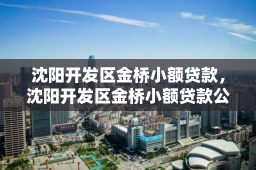 沈阳开发区金桥小额贷款，沈阳开发区金桥小额贷款公司