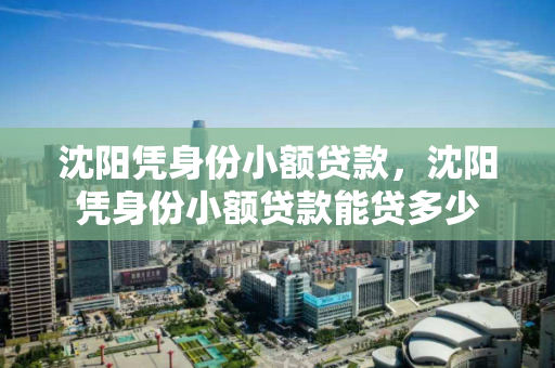 沈阳凭身份小额贷款，沈阳凭身份小额贷款能贷多少
