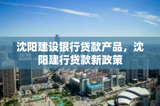 沈阳建设银行贷款产品，沈阳建行贷款新政策