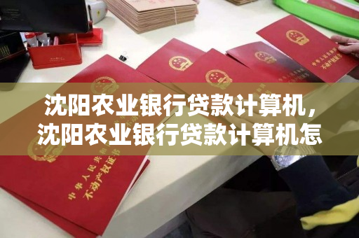 沈阳农业银行贷款计算机，沈阳农业银行贷款计算机怎么用