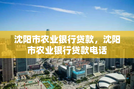 沈阳市农业银行贷款，沈阳市农业银行贷款电话