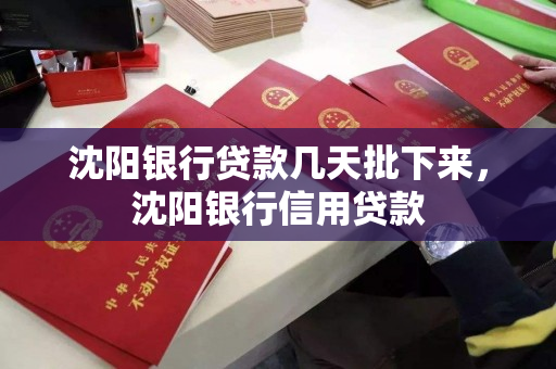 沈阳银行贷款几天批下来，沈阳银行信用贷款