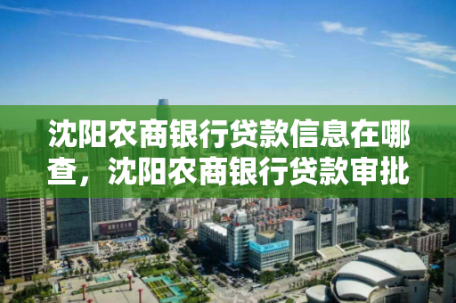 沈阳农商银行贷款信息在哪查，沈阳农商银行贷款审批流程