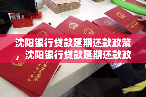 沈阳银行贷款延期还款政策，沈阳银行贷款延期还款政策文件