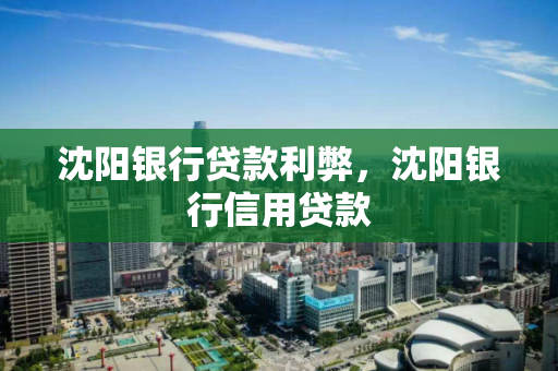 沈阳银行贷款利弊，沈阳银行信用贷款