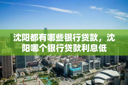 沈阳都有哪些银行贷款，沈阳哪个银行贷款利息低