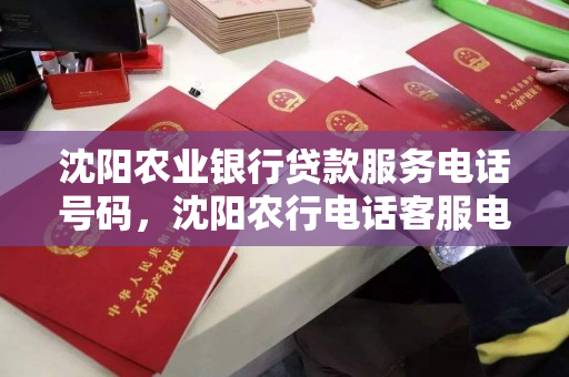 沈阳农业银行贷款服务电话号码，沈阳农行电话客服电话