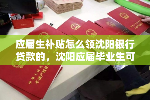 应届生补贴怎么领沈阳银行贷款的，沈阳应届毕业生可以领到哪些钱