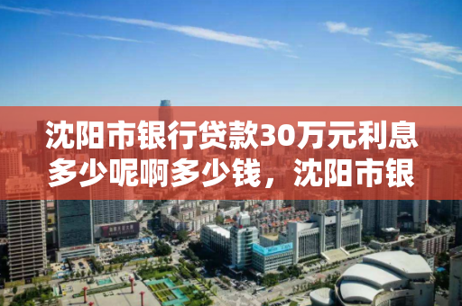 沈阳市银行贷款30万元利息多少呢啊多少钱，沈阳市银行贷款30万元利息多少呢啊多少钱一个月
