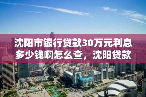 沈阳市银行贷款30万元利息多少钱啊怎么查，沈阳贷款银行利率