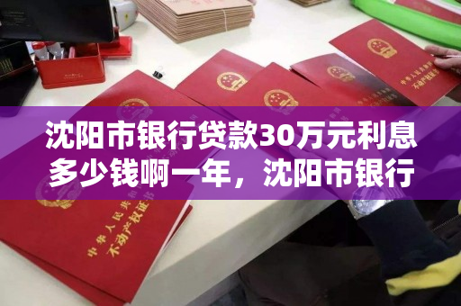 沈阳市银行贷款30万元利息多少钱啊一年，沈阳市银行贷款30万元利息多少钱啊一年