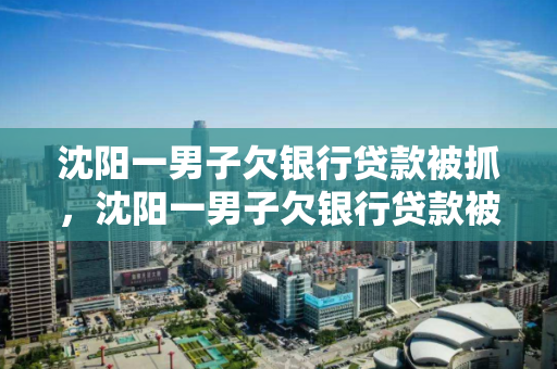 沈阳一男子欠银行贷款被抓，沈阳一男子欠银行贷款被抓视频