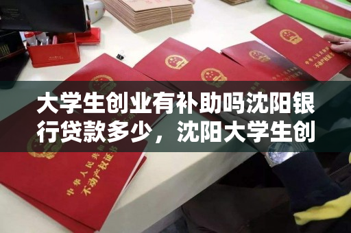 大学生创业有补助吗沈阳银行贷款多少,沈阳大学生创业贷款额度 大学生创业有补助吗沈阳银行贷款多少,沈阳大学生创业贷款额度