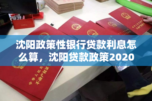 沈阳政策性银行贷款利息怎么算,沈阳贷款政策2020 沈阳政策性银行贷款利息怎么算,沈阳贷款政策2020