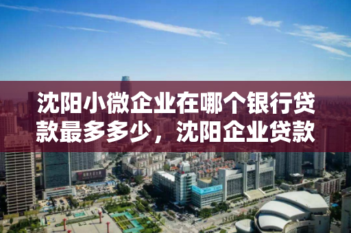 沈阳小微企业在哪个银行贷款最多多少，沈阳企业贷款哪家银行好操作