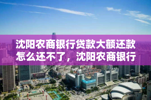 沈阳农商银行贷款大额还款怎么还不了，沈阳农商银行贷款大额还款怎么还不了呢