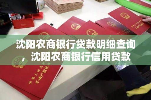 沈阳农商银行贷款明细查询，沈阳农商银行信用贷款