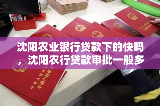 沈阳农业银行贷款下的快吗,沈阳农行贷款审批一般多久 沈阳农业银行贷款下的快吗,沈阳农行贷款审批一般多久