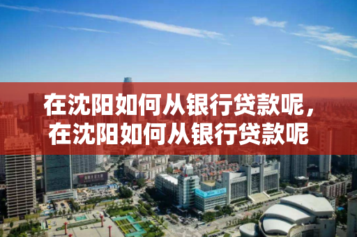 在沈阳如何从银行贷款呢，在沈阳如何从银行贷款呢