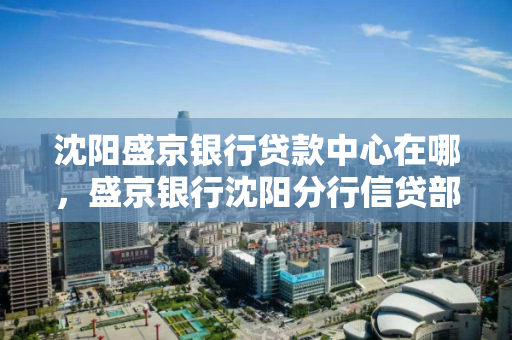 沈阳盛京银行贷款中心在哪，盛京银行沈阳分行信贷部电话