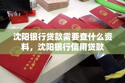 沈阳银行贷款需要查什么资料，沈阳银行信用贷款