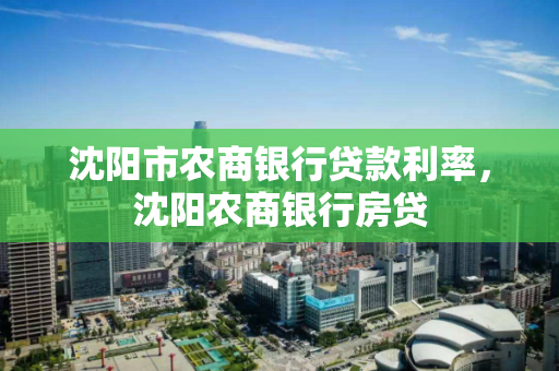 沈阳市农商银行贷款利率，沈阳农商银行房贷