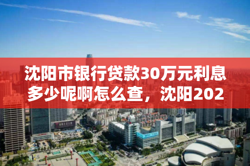 沈阳市银行贷款30万元利息多少呢啊怎么查，沈阳2021银行贷款新政