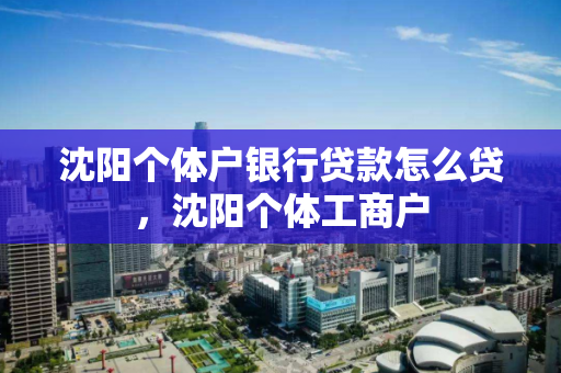 沈阳个体户银行贷款怎么贷，沈阳个体工商户
