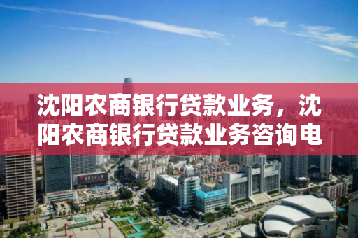 沈阳农商银行贷款业务，沈阳农商银行贷款业务咨询电话