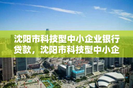 沈阳市科技型中小企业银行贷款，沈阳市科技型中小企业银行贷款政策