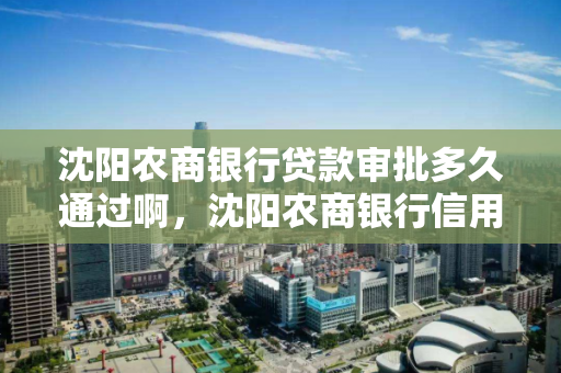 沈阳农商银行贷款审批多久通过啊，沈阳农商银行信用贷款