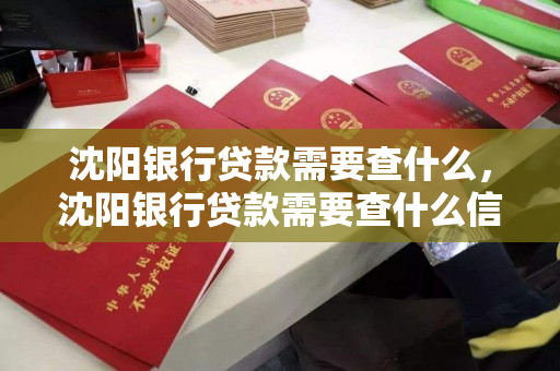 沈阳银行贷款需要查什么,沈阳银行贷款需要查什么信息 沈阳银行贷款需要查什么,沈阳银行贷款需要查什么信息