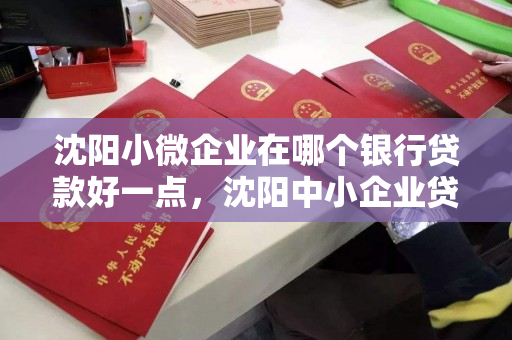 沈阳小微企业在哪个银行贷款好一点，沈阳中小企业贷款优惠政策