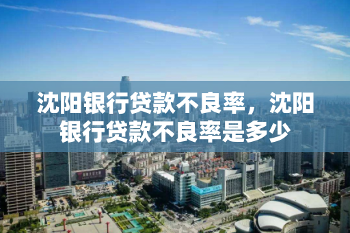 沈阳银行贷款不良率，沈阳银行贷款不良率是多少