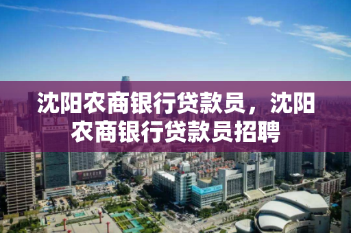 沈阳农商银行贷款员，沈阳农商银行贷款员招聘