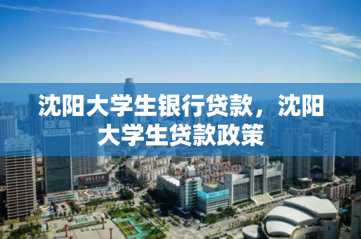 沈阳大学生银行贷款，沈阳大学生贷款政策