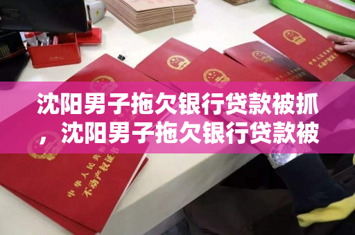 沈阳男子拖欠银行贷款被抓，沈阳男子拖欠银行贷款被抓了