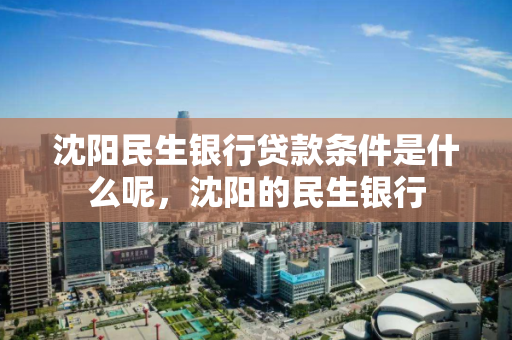 沈阳民生银行贷款条件是什么呢，沈阳的民生银行