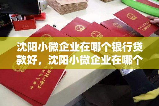 沈阳小微企业在哪个银行贷款好，沈阳小微企业在哪个银行贷款好下款