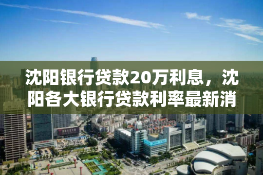 沈阳银行贷款20万利息，沈阳各大银行贷款利率最新消息