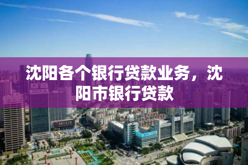 沈阳各个银行贷款业务，沈阳市银行贷款