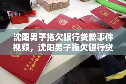 沈阳男子拖欠银行贷款事件视频，沈阳男子拖欠银行贷款事件视频曝光