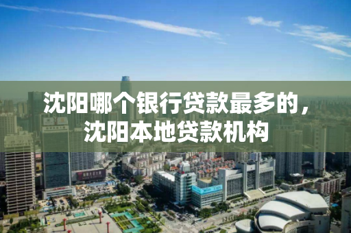 沈阳哪个银行贷款最多的，沈阳本地贷款机构