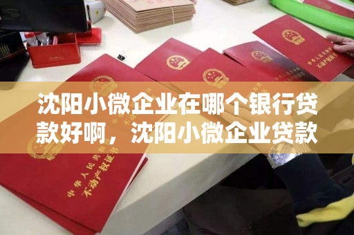 沈阳小微企业在哪个银行贷款好啊，沈阳小微企业贷款需要什么条件