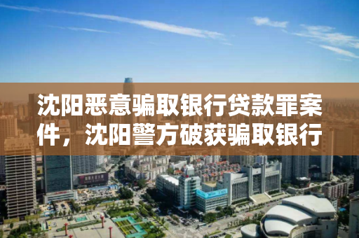 沈阳恶意骗取银行贷款罪案件，沈阳警方破获骗取银行